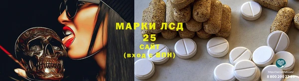 гидропоника Алзамай