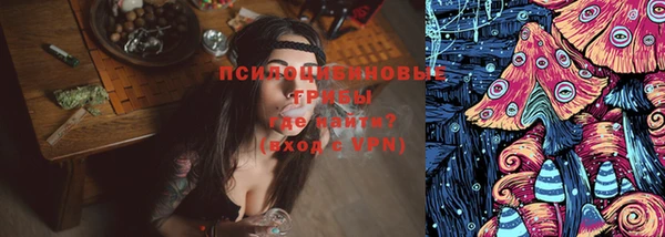 гидропоника Алзамай